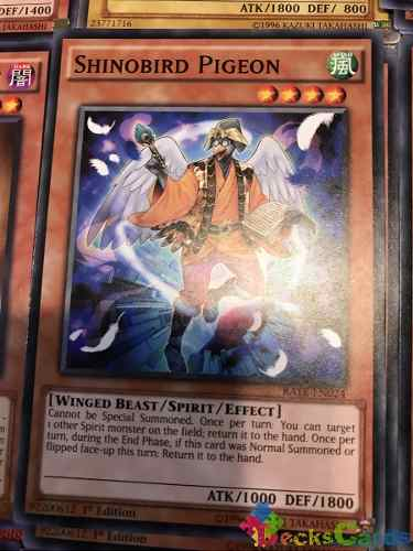 Shinobird Pigeon - rate-en024 - Common 1st Edition 1