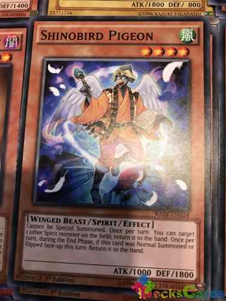 Shinobird Pigeon - rate-en024 - Common 1st Edition 1