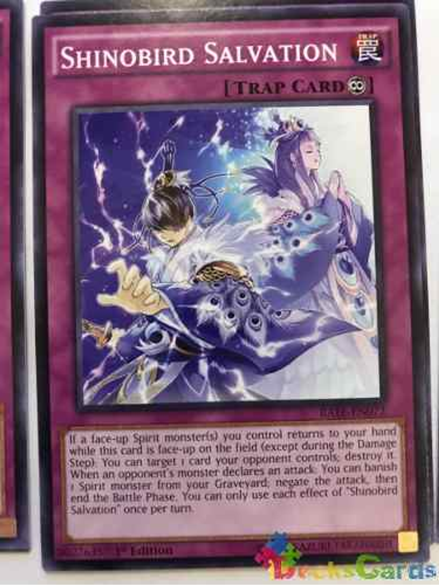Shinobird Salvation - rate-en072 - Common 1st Edition 1