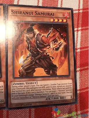 Shiranui Samurai - mp16-en202 - Common 1st Edition