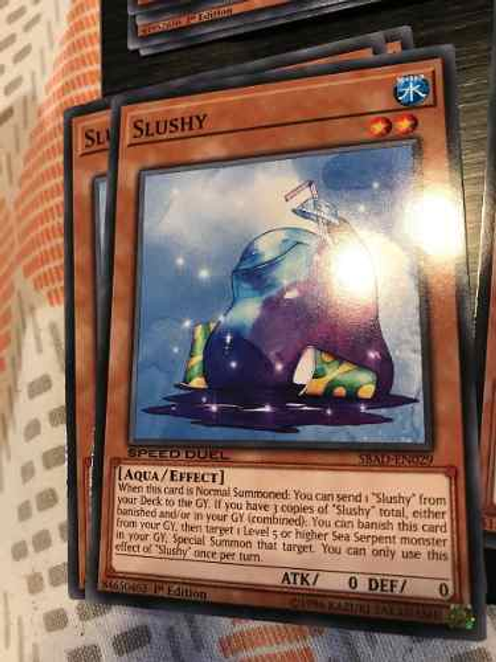 Slushy - sbad-en029 - Common 1st Edition 1