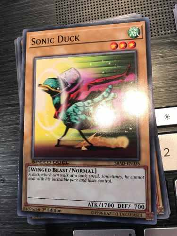 Sonic Duck - sbad-en036 - Common 1st Edition 1