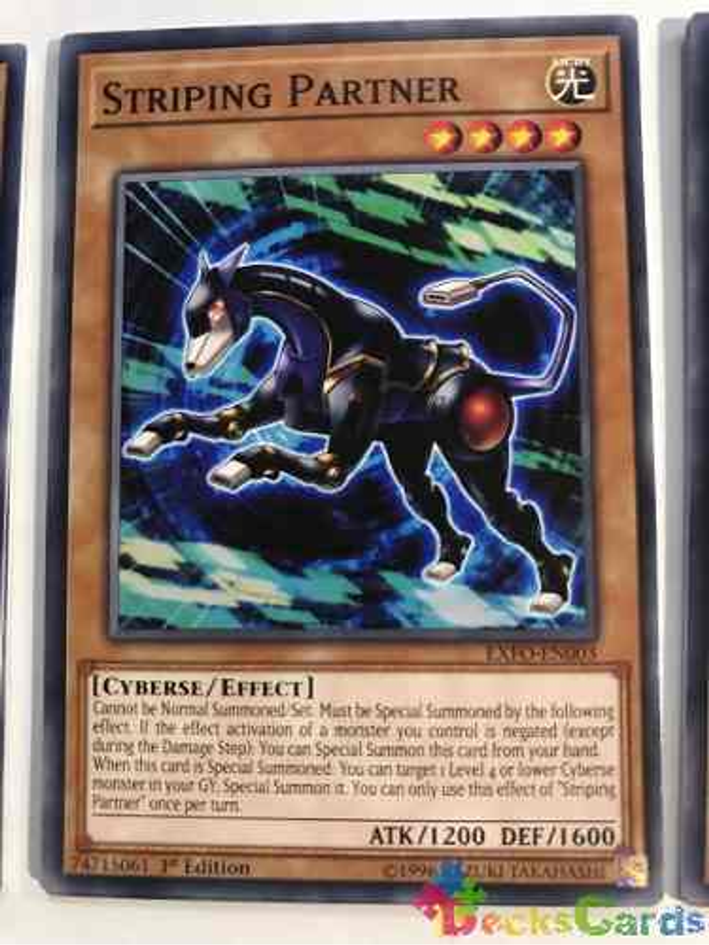 Striping Partner - exfo-en003 - Common 1st Edition 1