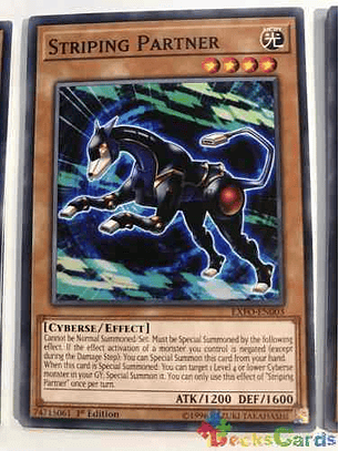 Striping Partner - exfo-en003 - Common 1st Edition
