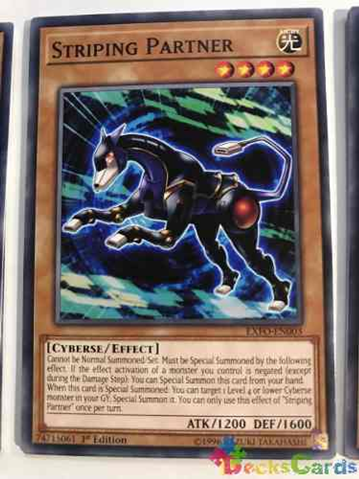 Striping Partner - exfo-en003 - Common 1st Edition 1