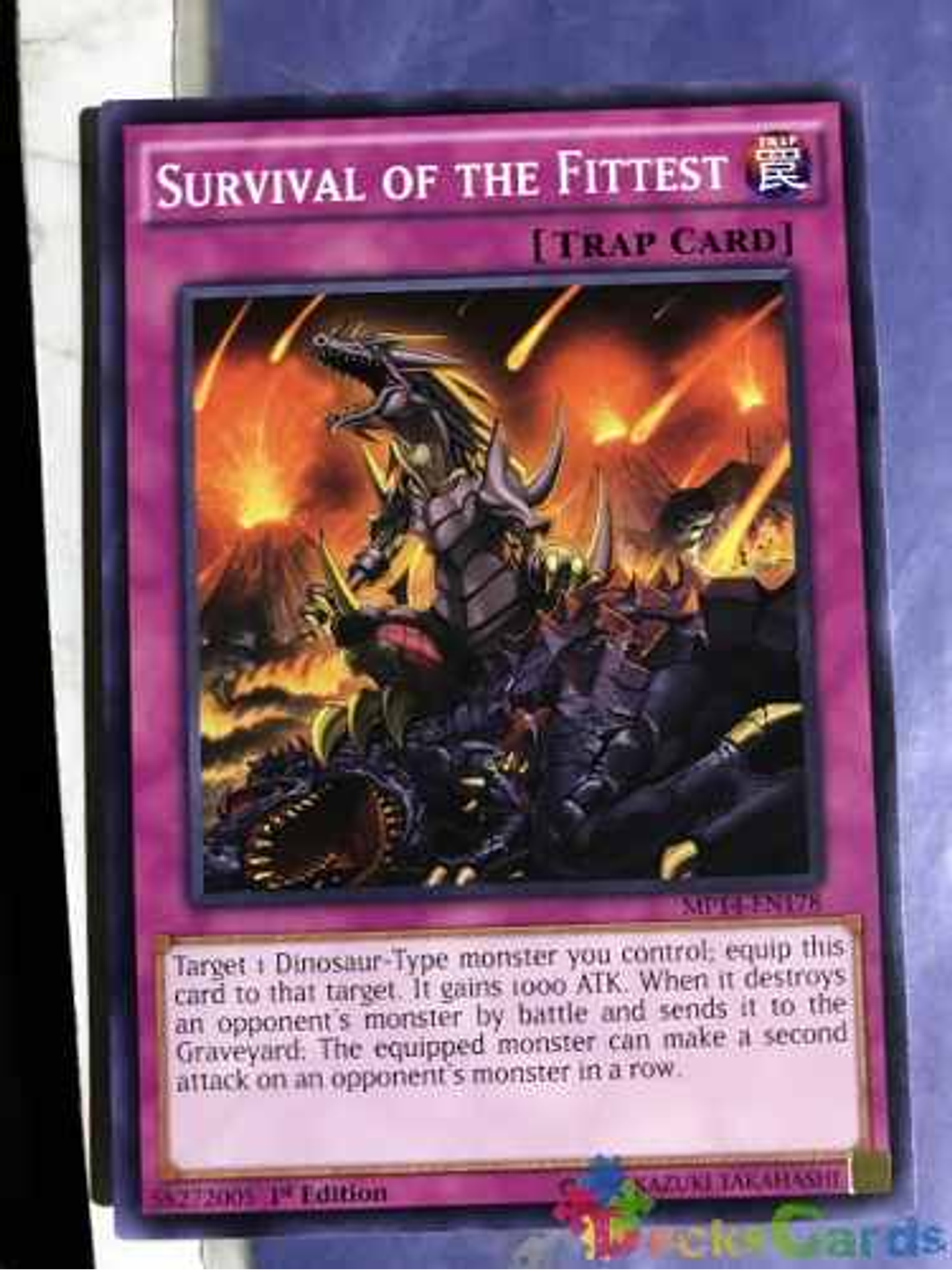 Survival Of The Fittest - mp14-en178 - Common 1st Edition 1