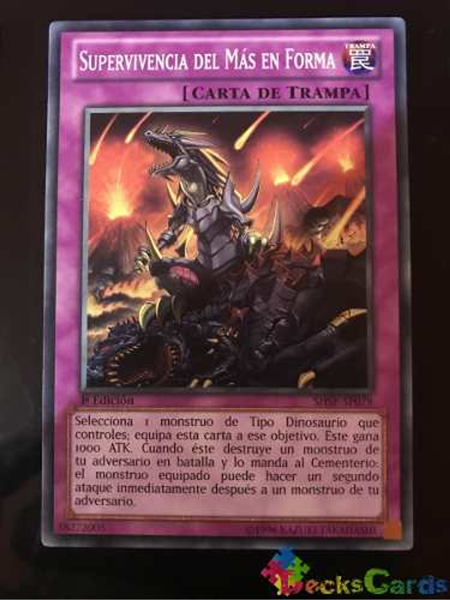 Survival Of The Fittest - shsp-en079 - Common 1st Edition 1