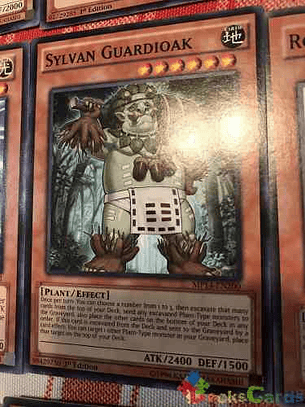 Sylvan Guardioak - mp14-en200 - Common 1st Edition
