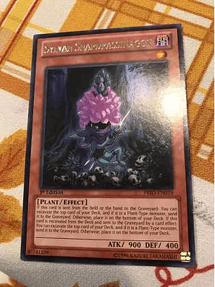 Sylvan Snapdrassinagon - prio-en019 - Rare 1st Edition
