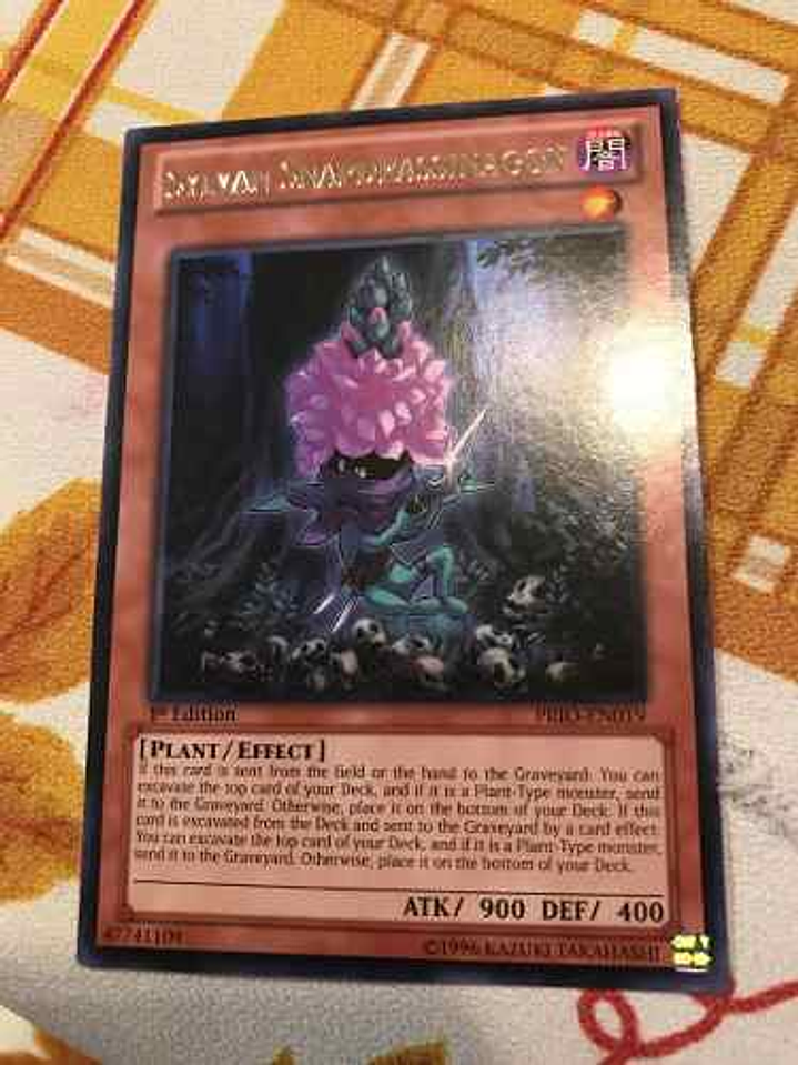 Sylvan Snapdrassinagon - prio-en019 - Rare 1st Edition 1