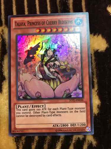 Yu-Gi-Oh! Sammelkarte: Talaya, Princess Of Cherry Blossoms (JOTL-EN036) – Super Rare, 1st Edition