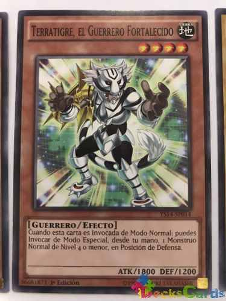 Terratiger, The Empowered Warrior - ys14-en014 - Common 1st 1
