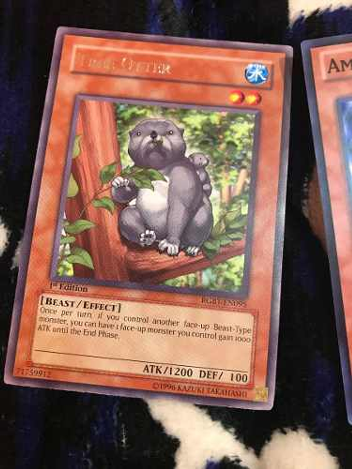 Tree Otter - rgbt-en095 - Rare 1st Edition 1