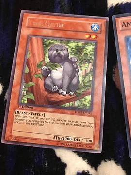 Tree Otter - rgbt-en095 - Rare 1st Edition