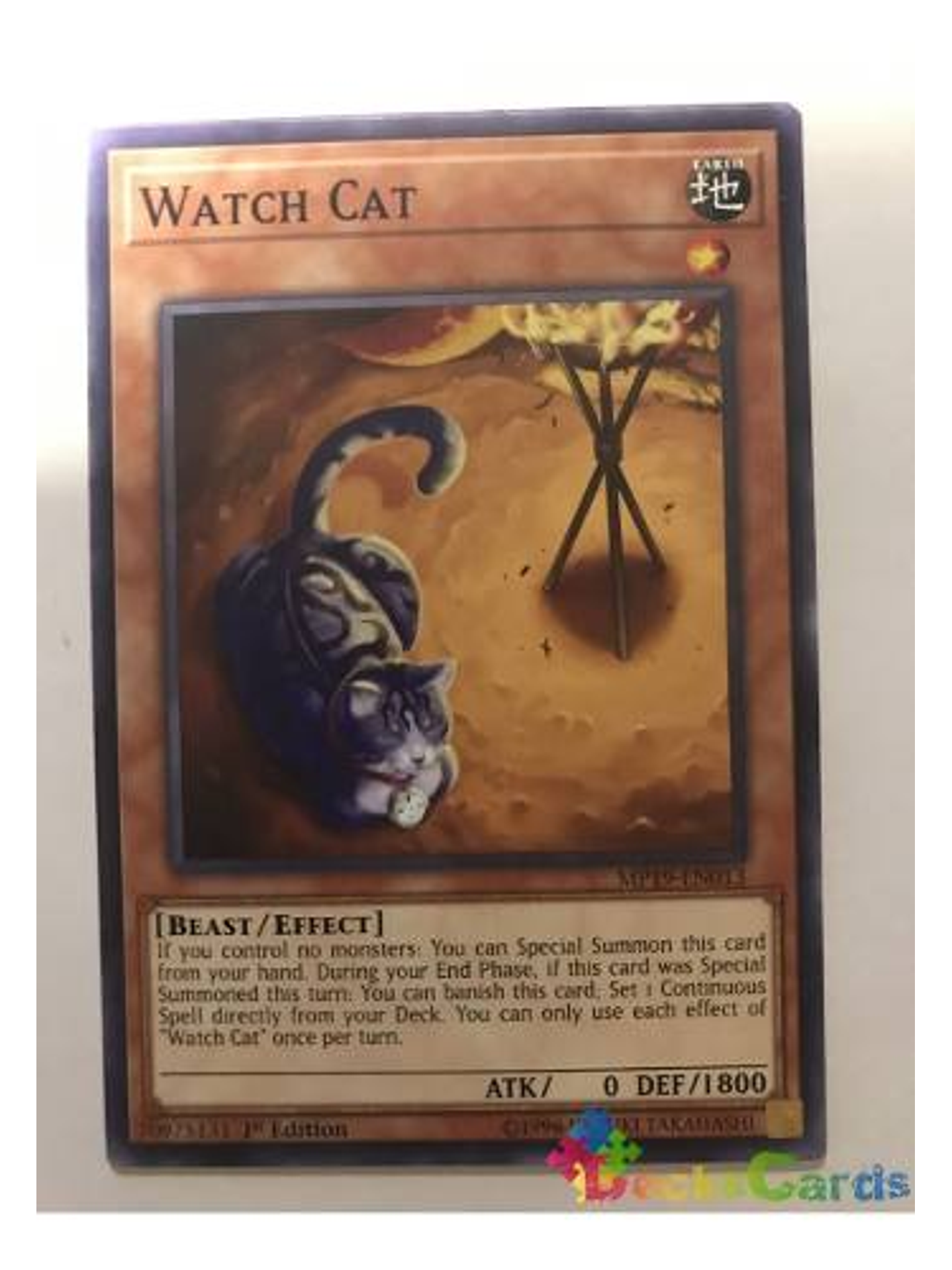 Watch Cat - mp19-en013 - Common 1st Edition 1