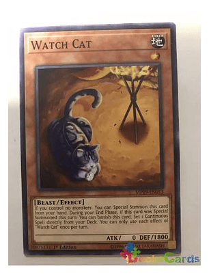 Watch Cat - mp19-en013 - Common 1st Edition