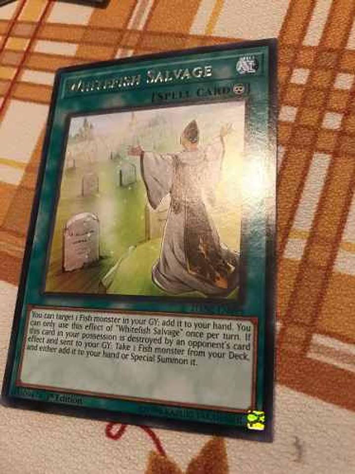 Whitefish Salvage - dane-en098 - Rare 1st Edition 1