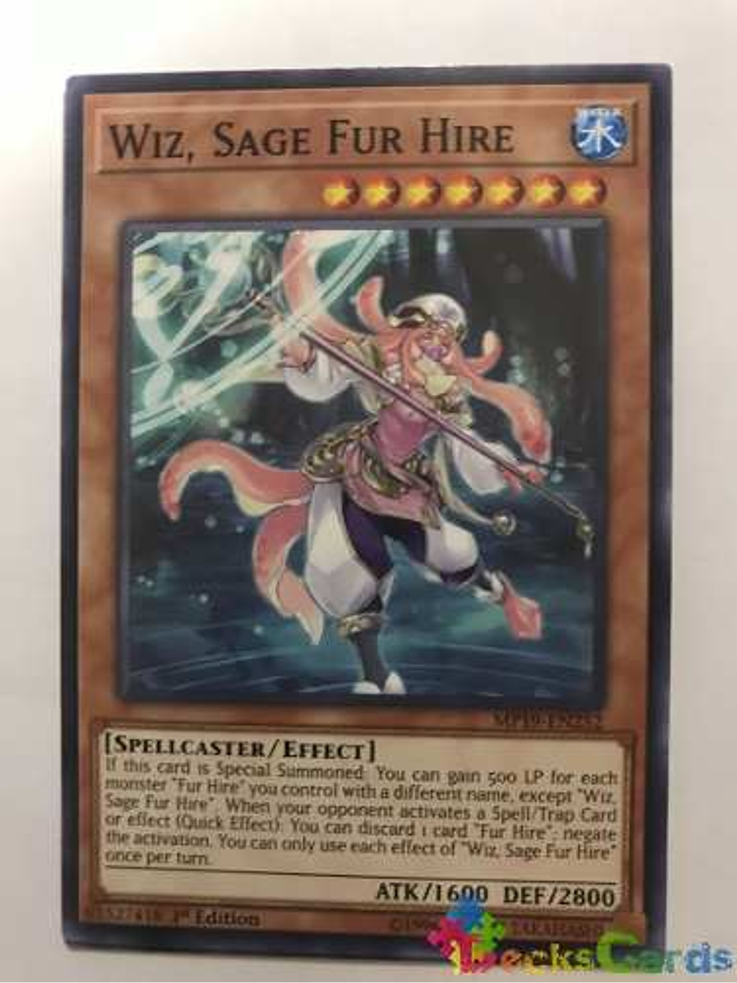 Wiz, Sage Fur Hire - mp19-en252 - Common 1st Edition 1