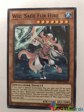 Wiz, Sage Fur Hire - mp19-en252 - Common 1st Edition