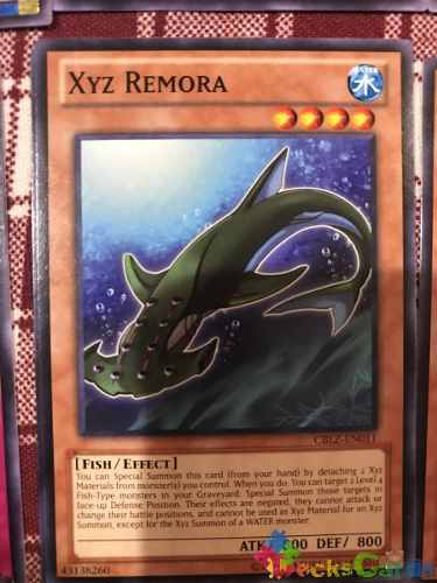 Xyz Remora - cblz-en011 - Common Unlimited 1