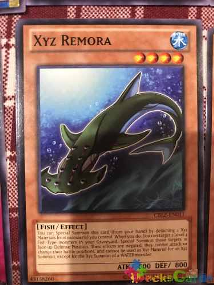 Xyz Remora - cblz-en011 - Common Unlimited 1