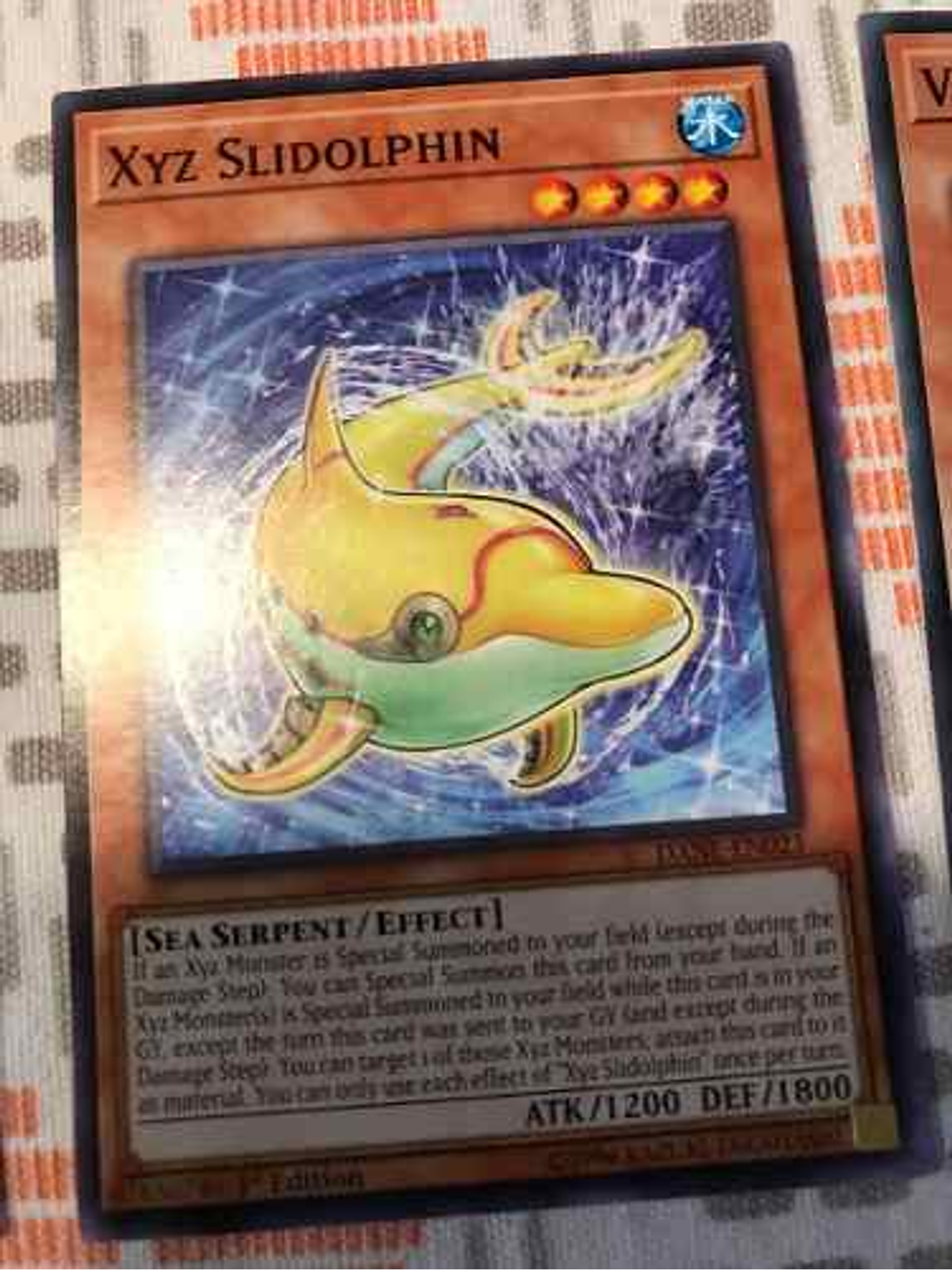 Xyz Slidolphin - dane-en023 - Common 1st Edition 1
