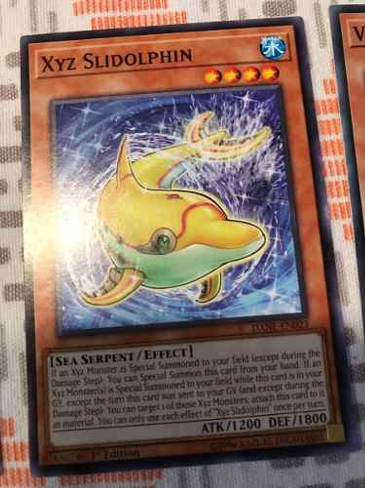 Xyz Slidolphin - dane-en023 - Common 1st Edition 1