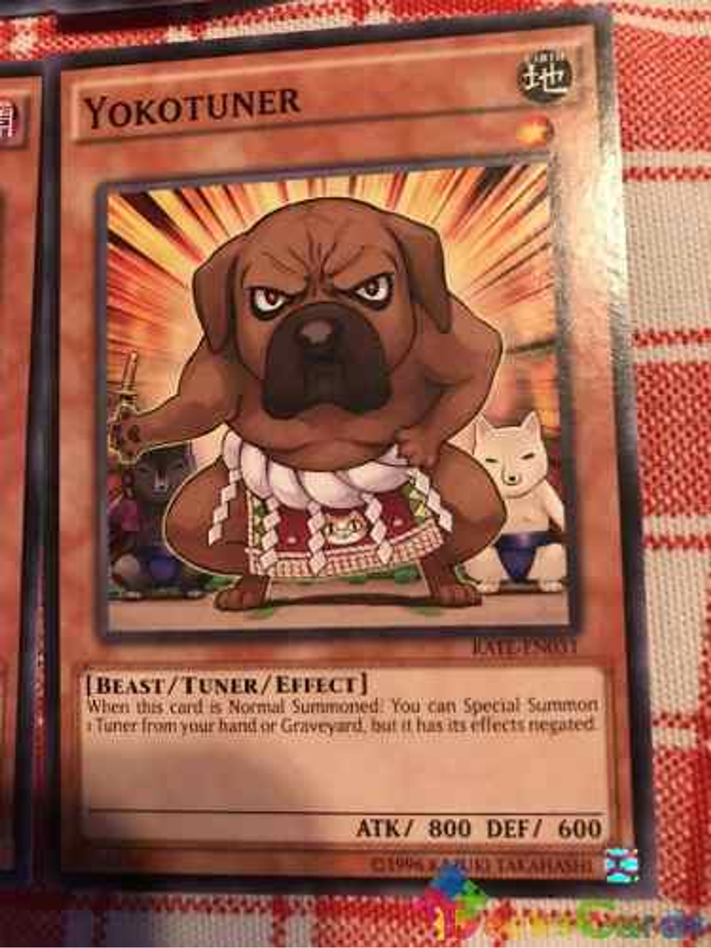 Yokotuner - rate-en031 - Common Unlimited 1