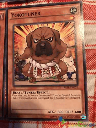 Yokotuner - rate-en031 - Common Unlimited