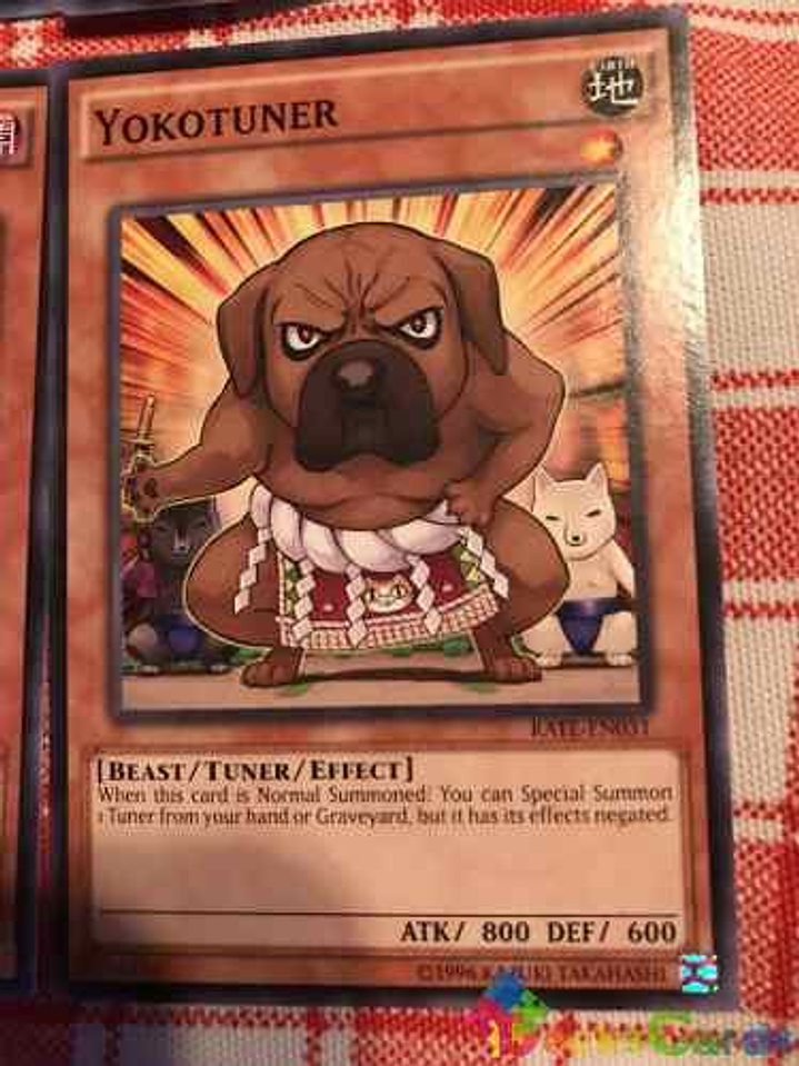 Yokotuner - rate-en031 - Common Unlimited 1