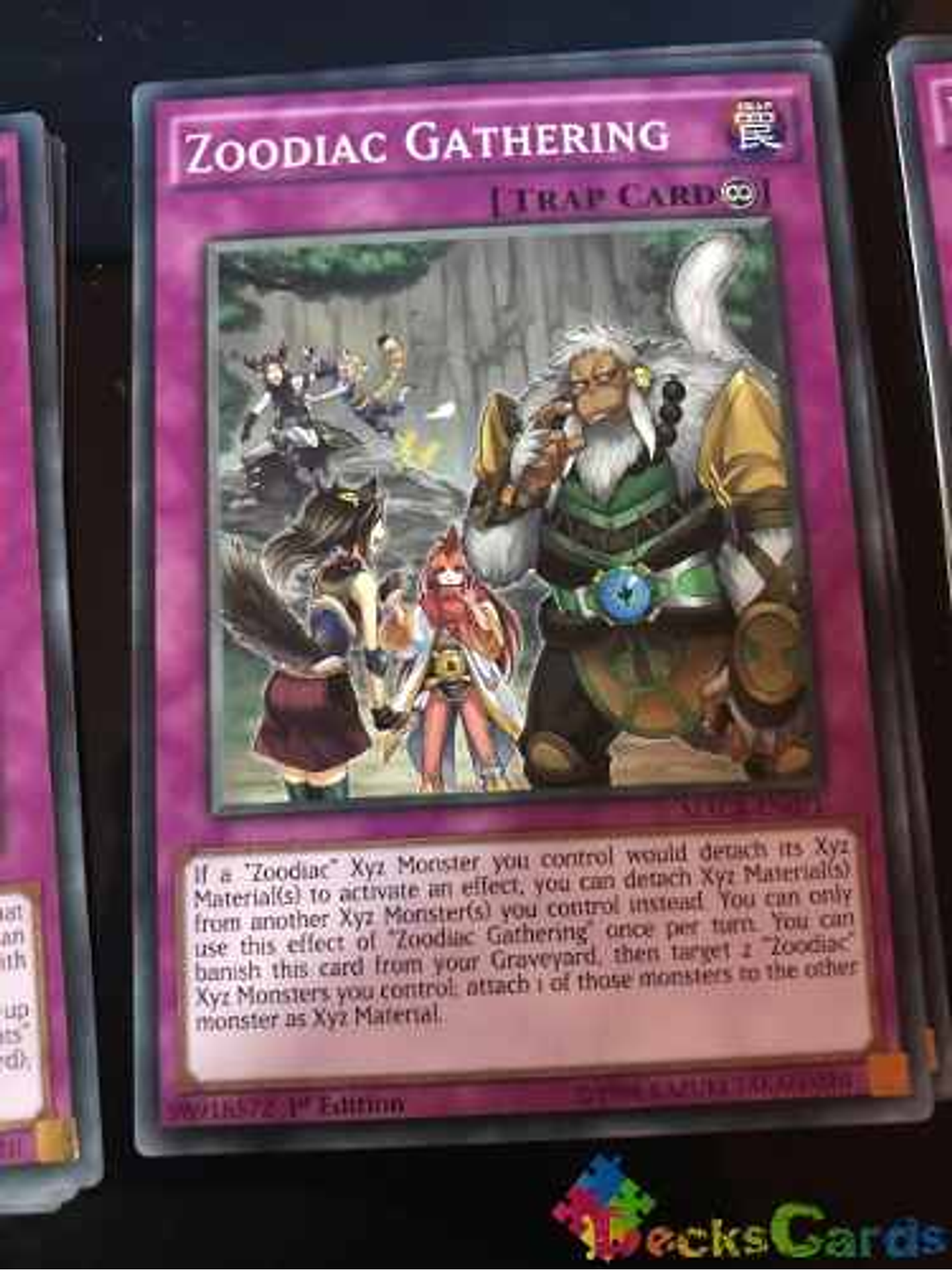 Zoodiac Gathering - macr-en071 - Common 1st Edition 1