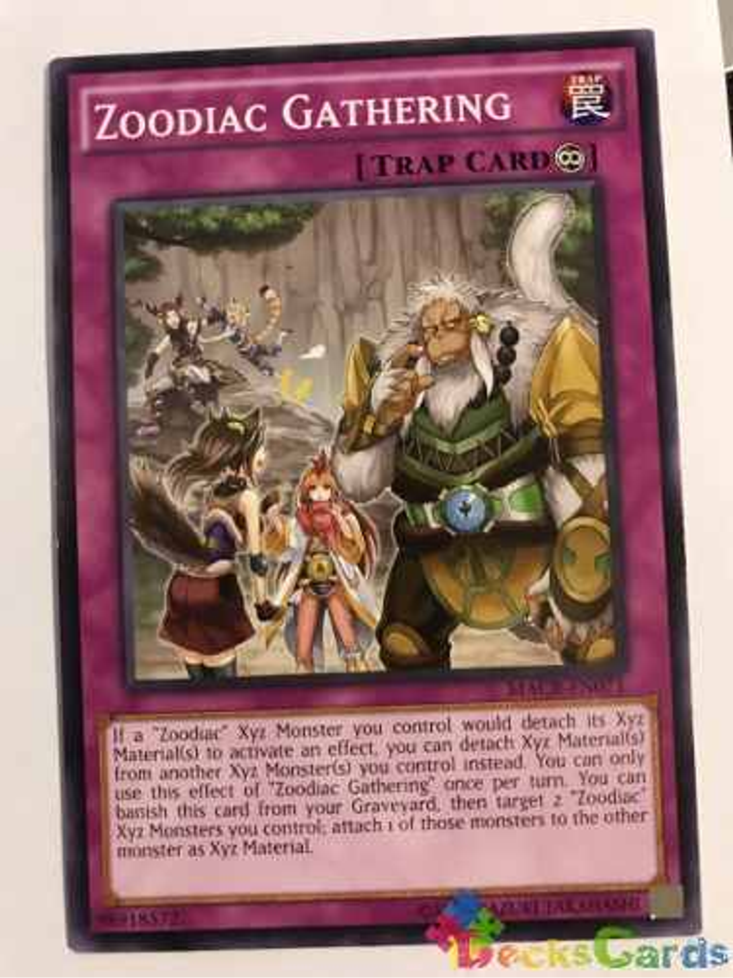 Zoodiac Gathering - macr-en071 - Common Unlimited 1