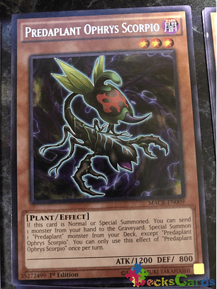 Predaplant Ophrys Scorpio - MACR-EN009 - Rare 1st Edition