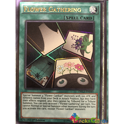 Flower Gathering - DRL3-EN040 - Ultra Rare 1st Edition