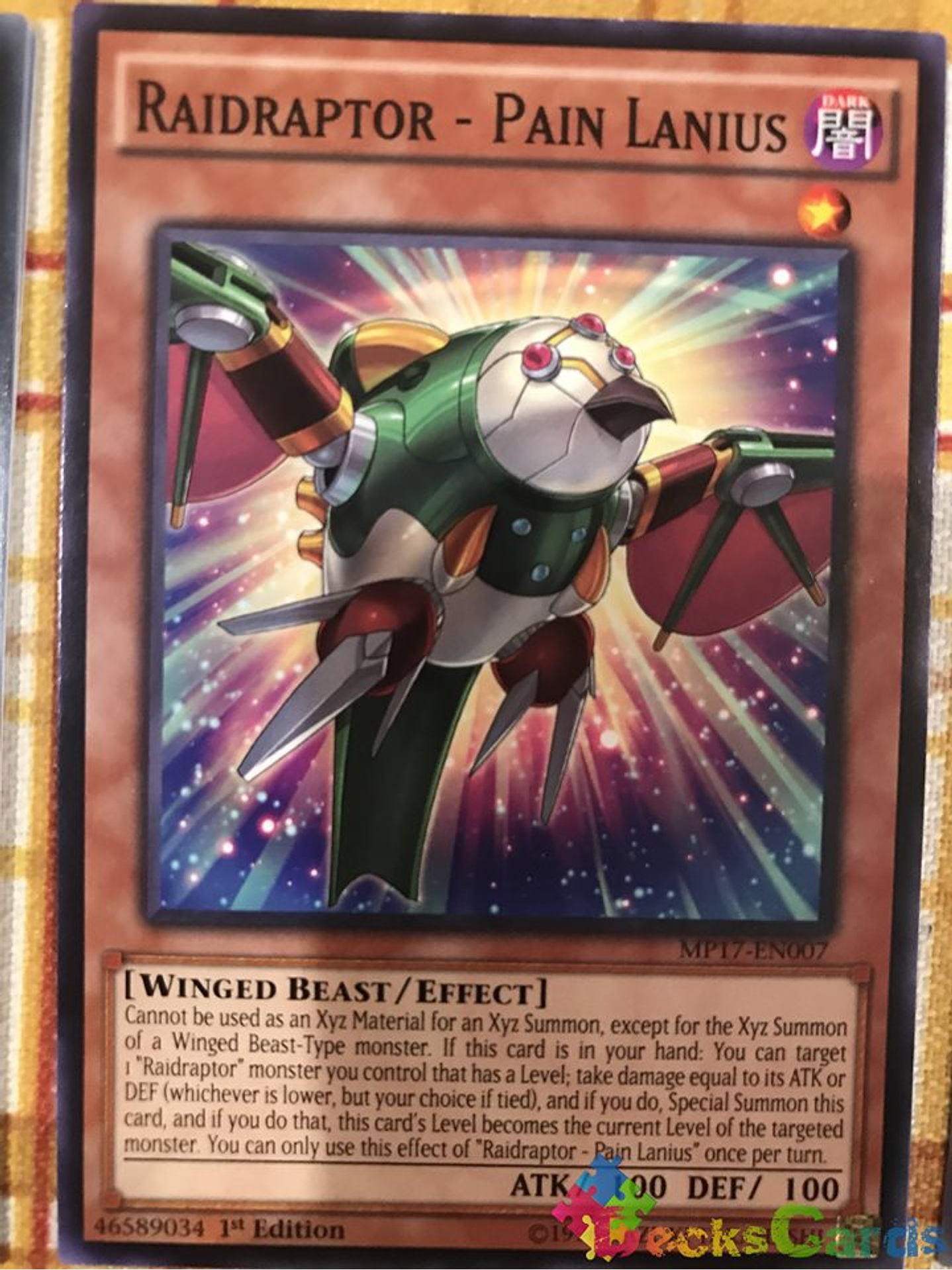 Raidraptor - Pain Lanius - SHVI-EN015 - Common 1st Edition 2