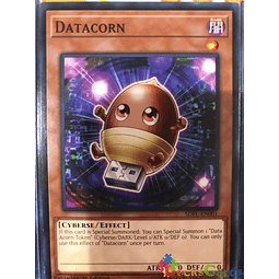 Datacorn - SDPL-EN001 - Common 1st Edition