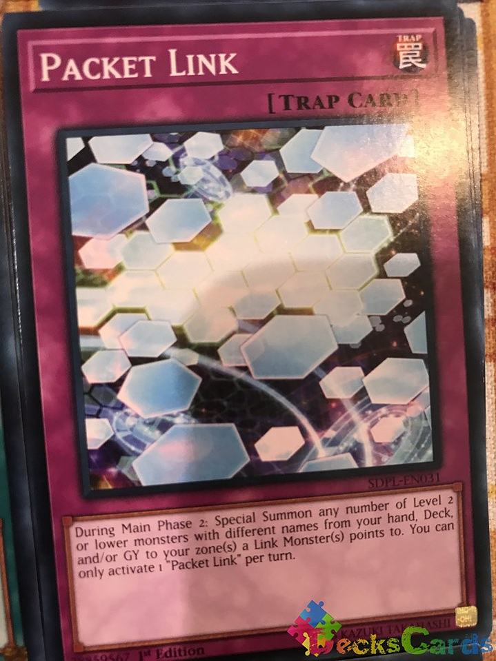 Packet Link - SDPL-EN031 - Common 1st Edition 1