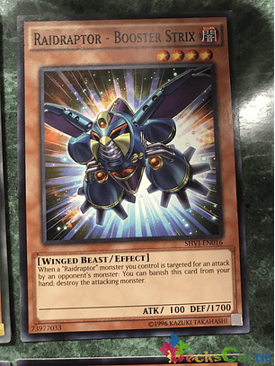 Raidraptor - Booster Strix - SHVI-EN016 - Common Unlimited