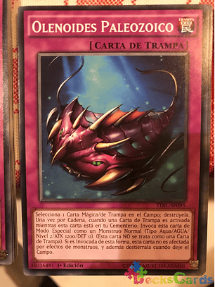 Paleozoic Olenoides - TDIL-EN095 - Common 1st Edition