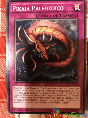 Paleozoic Pikaia - TDIL-EN098 - Common 1st Edition