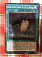 Forbidden Dark Contract with the Swamp King - TDIL-EN056 - Common 1st Edition - Miniatura 1