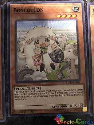 Boycotton - MP19-EN018 - Common 1st Edition