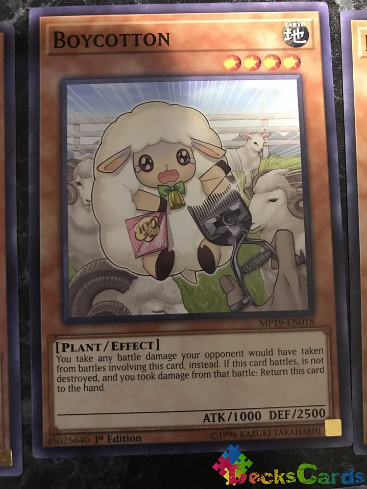 Boycotton - MP19-EN018 - Common 1st Edition 1