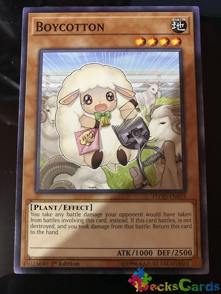 Boycotton - FLOD-EN035 - Common 1st Edition 1