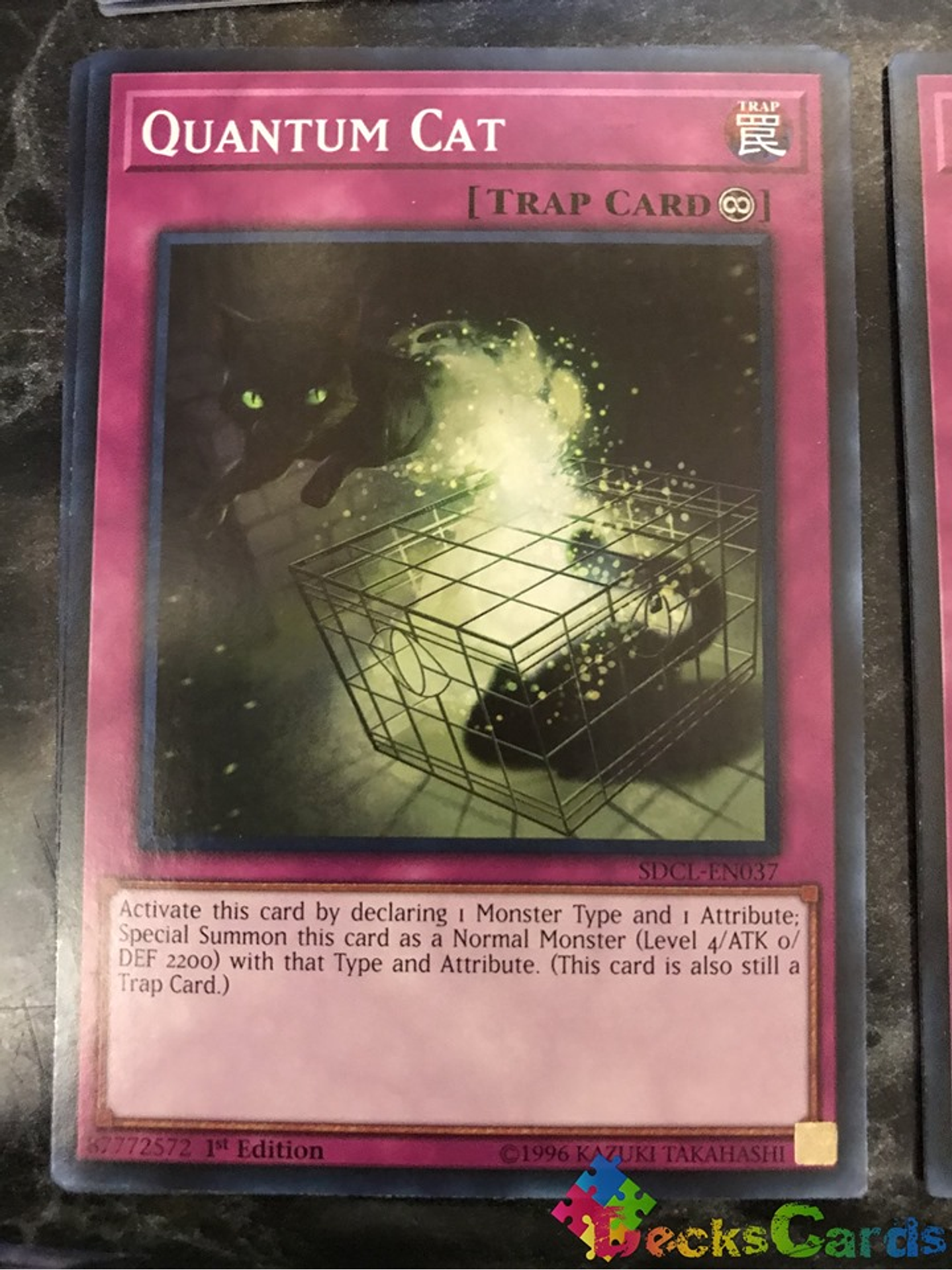 Quantum Cat - SDCL-EN037 - Common 1st Edition 1