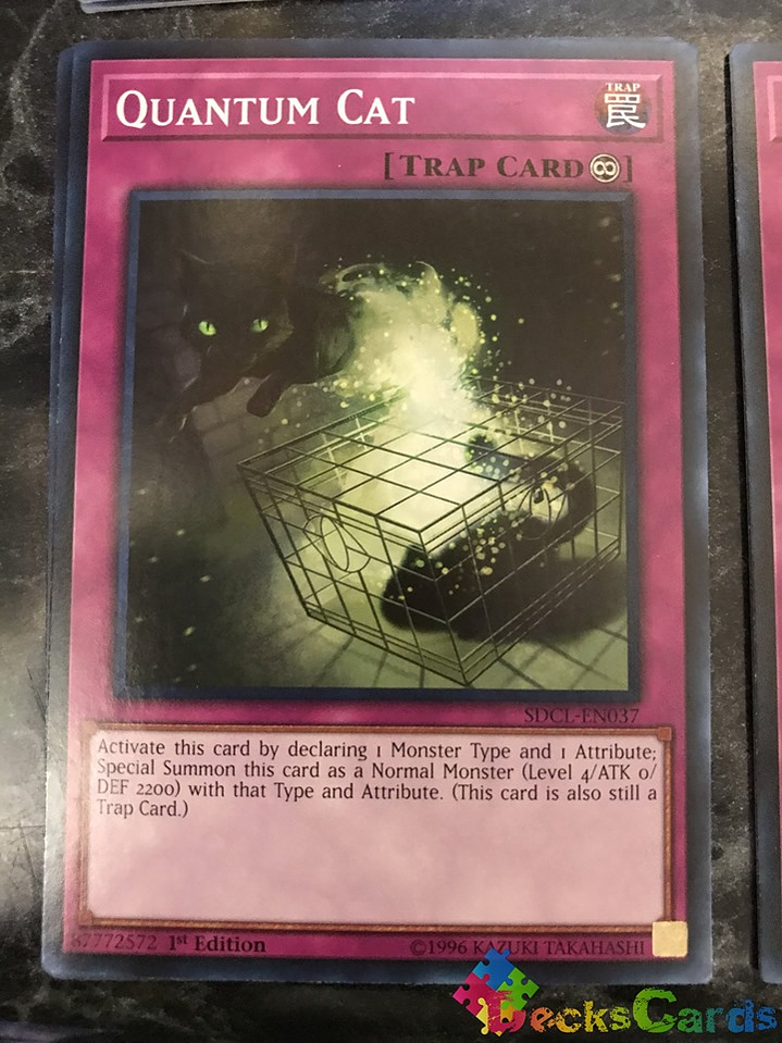 Quantum Cat - SDCL-EN037 - Common 1st Edition 1