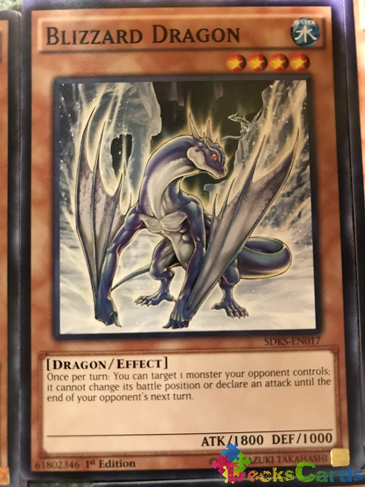 Blizzard Dragon - SDKS-EN017 - Common 1st Edition 1