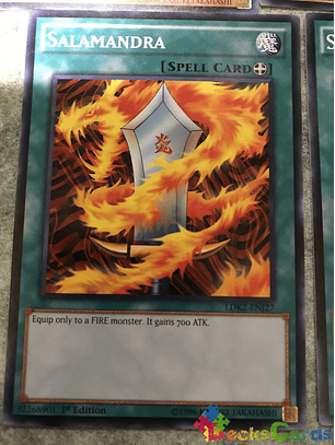 Salamandra - LDK2-ENJ27 - Common 1st Edition