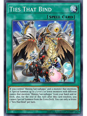 Ties That Bind - MP25-EN071 - Prismatic Secret Rare 1st Edition