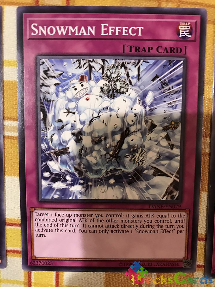 Snowman Effect - DANE-EN079 - Common Unlimited 1